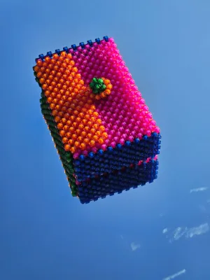 Clutch With Clasp