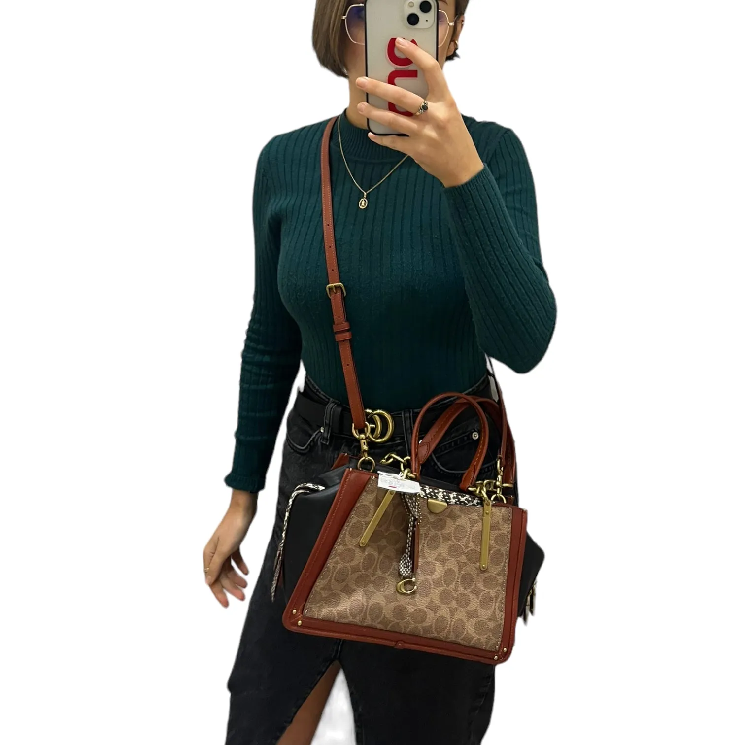 Coach Monogram and Snake Print Bag