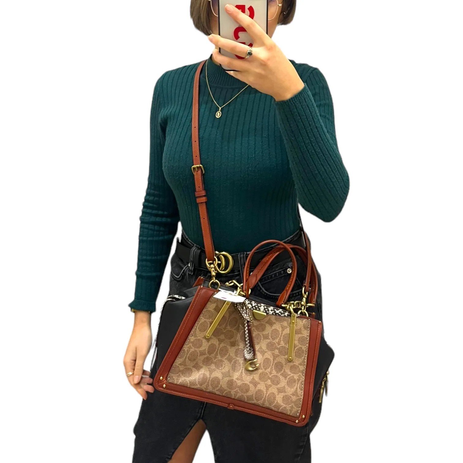 Coach Monogram and Snake Print Bag