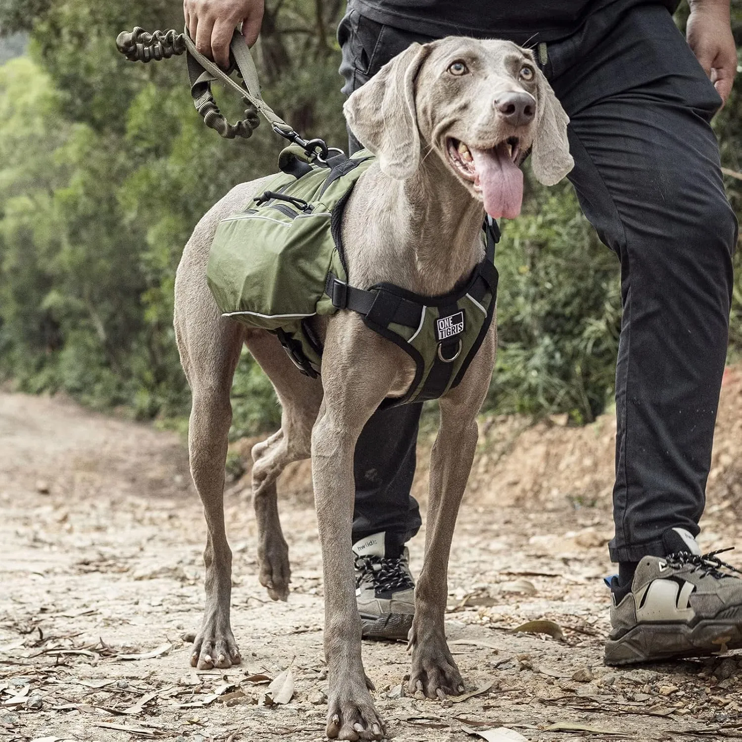 OneTigris Y-Shaped Dog Backpack with Handle, Pockets & No Pull D-Rings, Lightweight Hiking Gear for Dogs Hunting Camping Travel (Medium, Green)