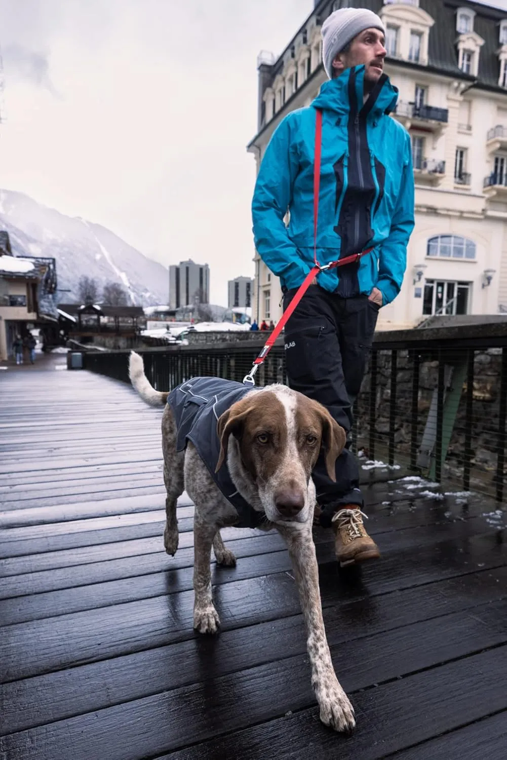 Ruffwear, Overcoat Fuse Jacket Harness Combo for Dogs, Basalt Gray, Small
